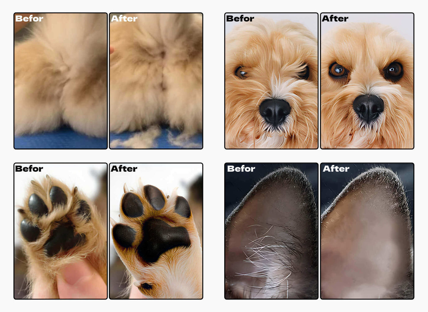 🐾 QuietPaw-Trimmer™
